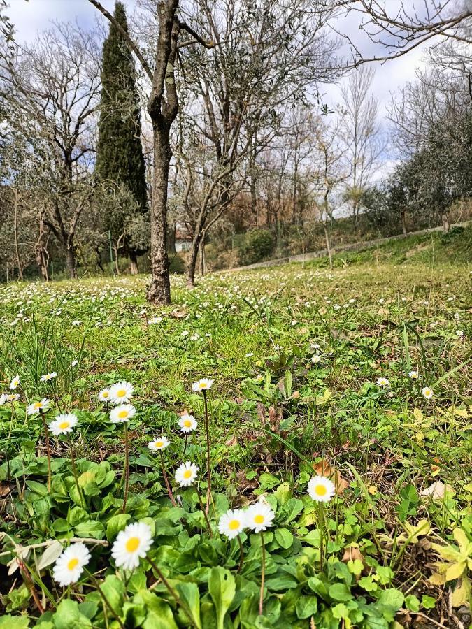 Locazione Turistica La Gesualda Lejlighed Castelnuovo Magra Eksteriør billede