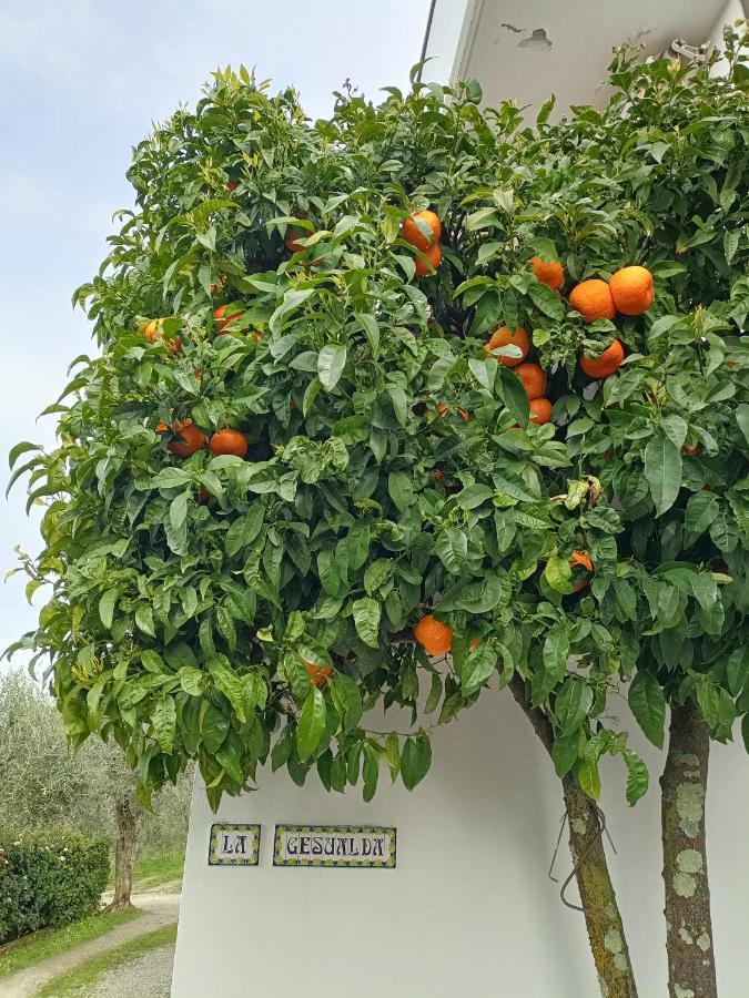 Locazione Turistica La Gesualda Lejlighed Castelnuovo Magra Eksteriør billede